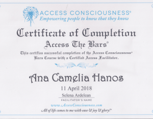 Access Bars Certification