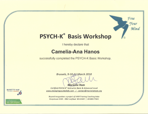 Psych-K Basic Certification